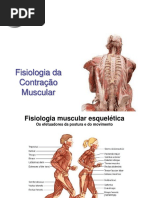 Contração Muscular