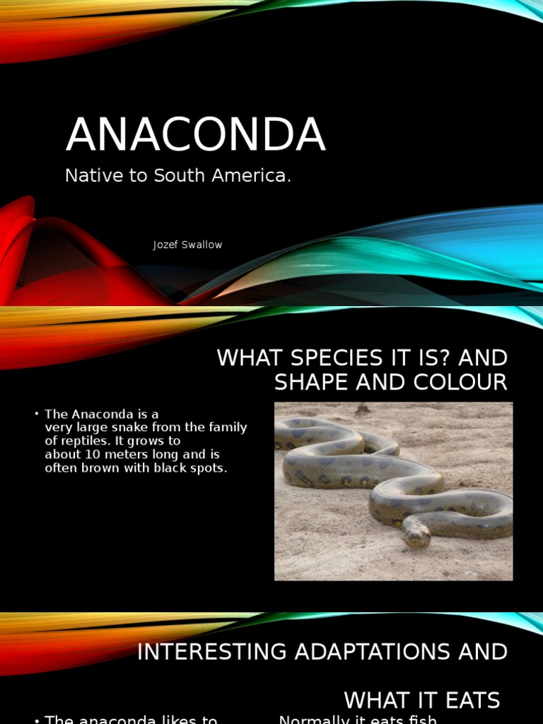 Anaconda | PDF