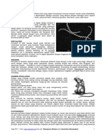 Leptospirosis - medicafarma