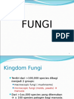 Fungi (Jamur)