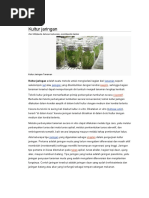 Download Teknik kultur jaringan Febri Irawan 05091002006 UNSRI by Febri Irawan Putra Zenir SN34149192 doc pdf