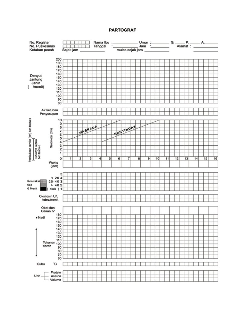 PARTOGRAF | PDF