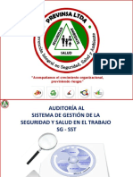 Fundamentos de Auditoría SG-SST