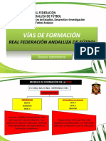 Vias de Formacion de La Rfaf_actualizado16-17