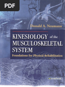 Donald A. Neumann-Kinesiology of The Musculoskeletal System PDF