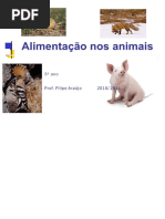 alimentação