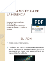 ADN_LA_MOLECULA_DE_LA_HERENCIA.pptx