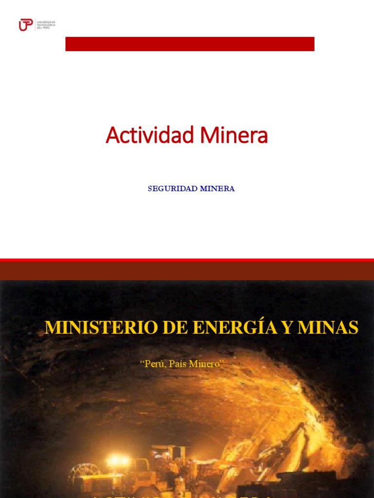 Seguridad y Actividad Minera en Perú | PDF | Minería | Evaluación de ...