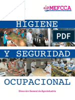 Higiene y Seguridad Ocupacional