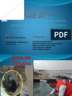 Control y Contaminación de Efluente Pesquero en La Bahía Ferrol Chimbote.