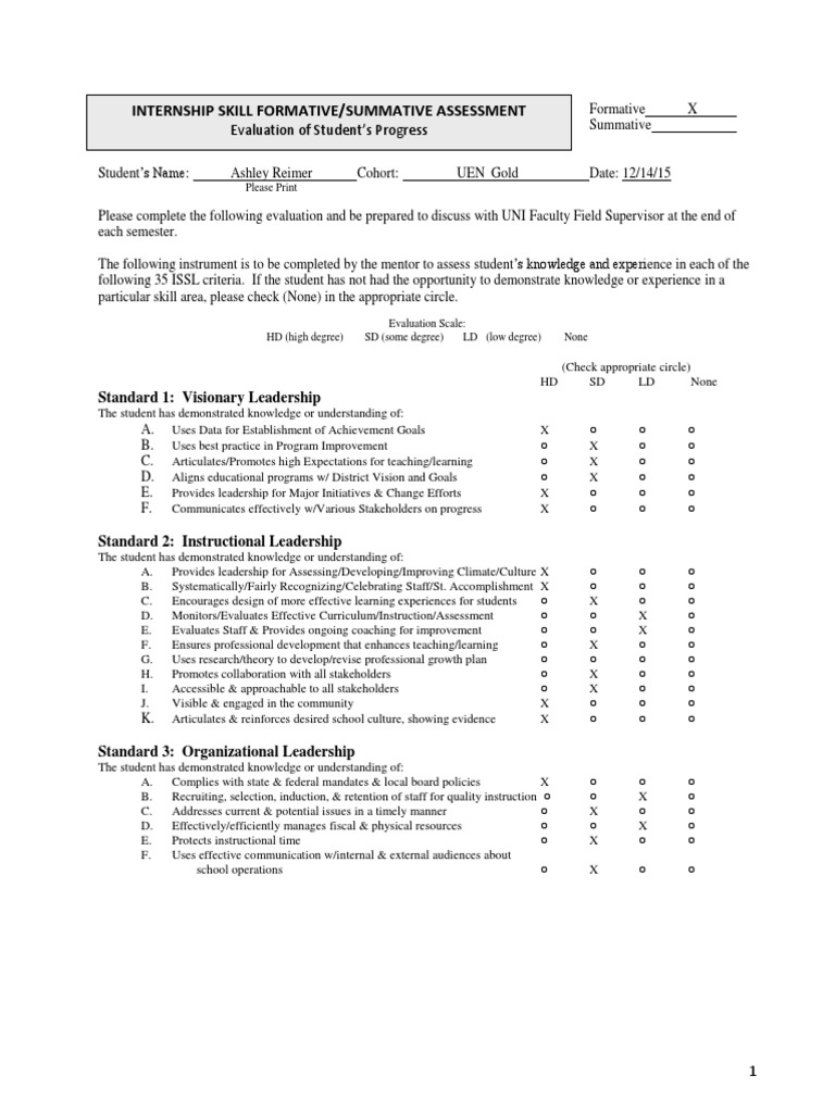 Reimer Formative Assessment 12-14-15 | PDF