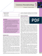 05 Cutaneous Neurophysiology