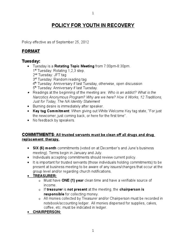 Policy For Youth in Recovery: Format Tuesday | PDF