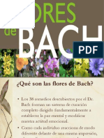 Flores Bach I