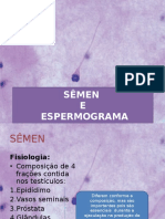Aula Espermograma