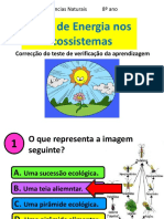 8.Fluxo.energia.teste.4.Solucoespdf