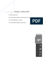 Neuropsicologia y Educación PDF