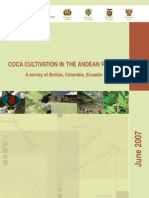 01574-Andean Report 2007