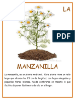 La Manzanilla
