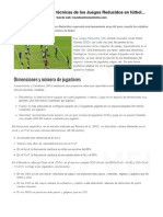 Demandas Físicas y Técnicas de Los Juegos Reducidos en Fútbol