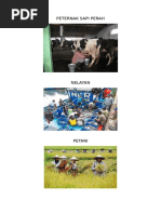 8600 Kolase Ikan Gurame HD Terbaru