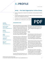 Capital Profile - NG Teng Fong PDF