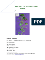 Acalypha indica - medicinal properties.pdf