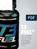 T3 Fuel