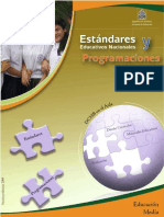 Estandares Programaciones MA 10-11 PDF