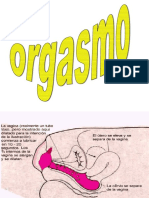 orgasmo