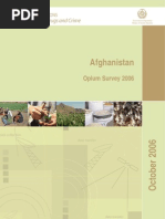 01619-AFG05%20 full web 2006