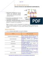 B10 Movimento de Substancias Atraves de Uma Membrana Semipermeavel 2a Parte - Com Respostas