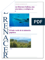 Parques Naturales.docx Periodico Final Corre
