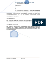 VIABILIDAD DEL PROYECTO.docx