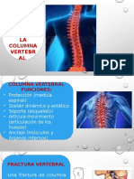 columna clinico.pptx
