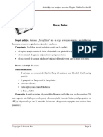 Activitate-Rares-Furios-Consilieri-Model.pdf