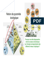 2-1 - Pyramides Ecologiques PDF