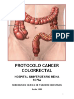 Protocolo Cancer Colorectal