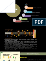 Biokim - Transport Membran