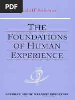 Foundations of Human Experience