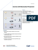 Interspecies Chimerism With Mammalian Pluripotent Stem Cells