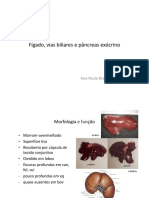 Fígado, vias biliares e pâncreas exócrino.pdf