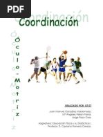 Download GTA07 Coordinacion Oculo Motriz by antonio_rm_89 SN34162264 doc pdf