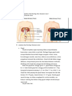 Anatomi Fisiologi Urine