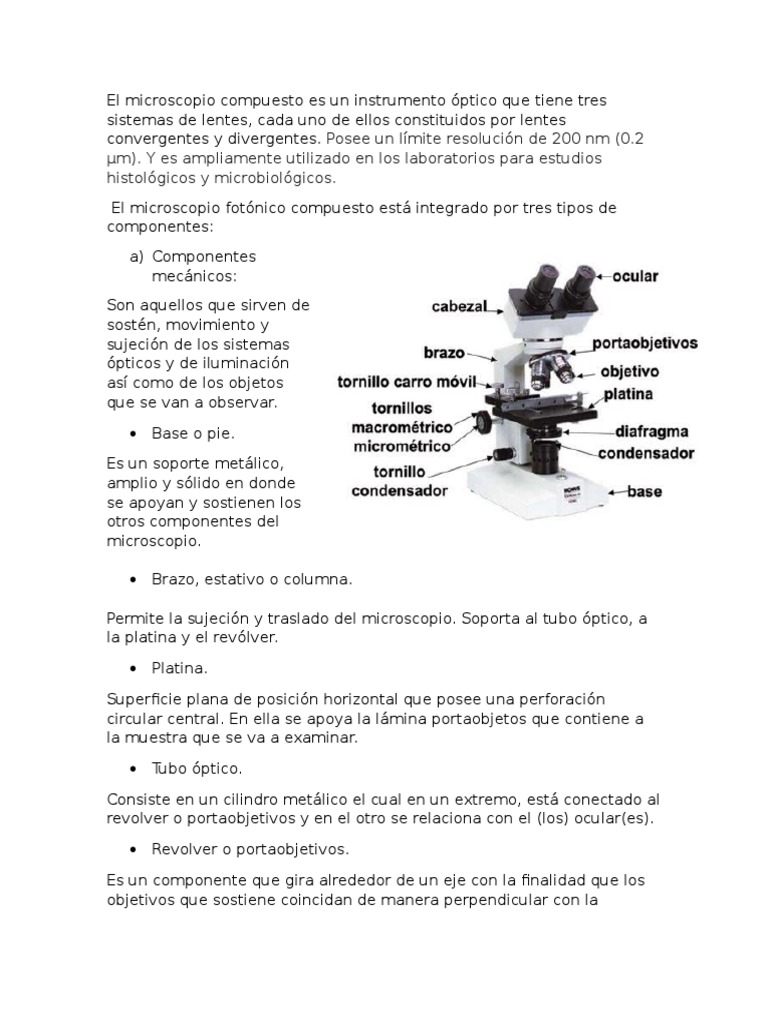 Microscopio Óptico Compuesto | PDF | Óptica | Radiación electromagnética