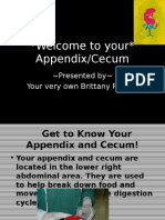 Appendix and Cecum!