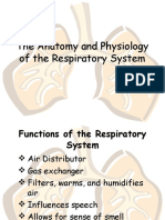 respiratorysystem (16).ppt