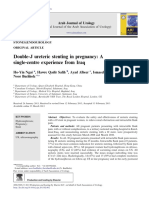 Mega Super Stent JJ PDF