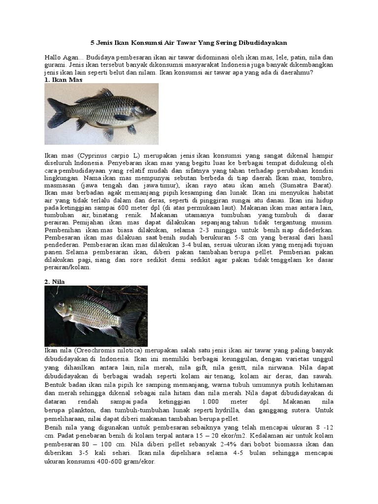 5 Jenis Ikan Konsumsi Air Tawar Yang Sering Dibudidayakan