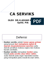 Ca Serviks 2013